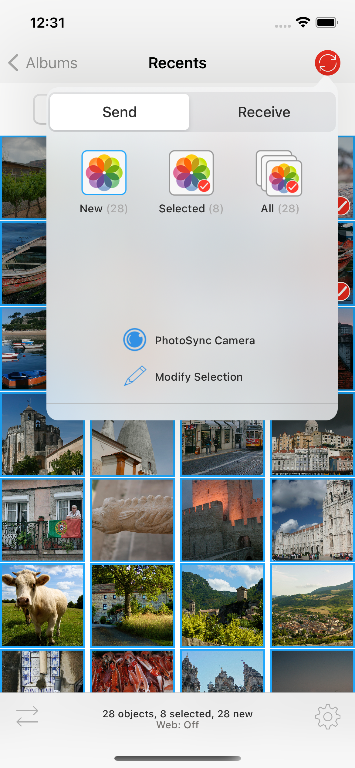 Sending options in PhotoSync