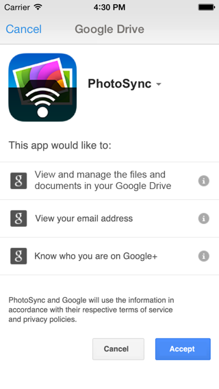 Google Drive authentication website - Permission settings