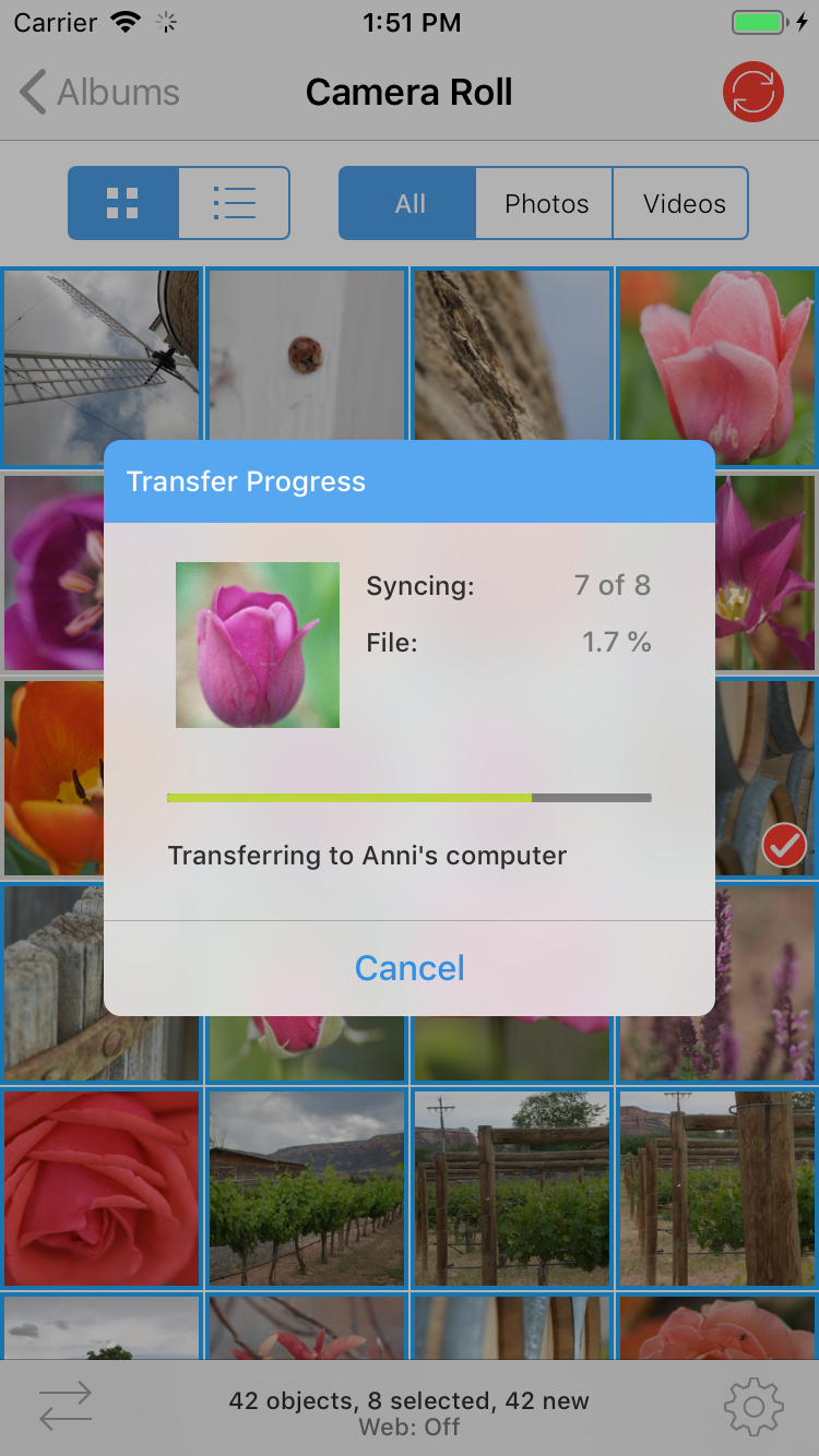 Transfer progress on an iPhone