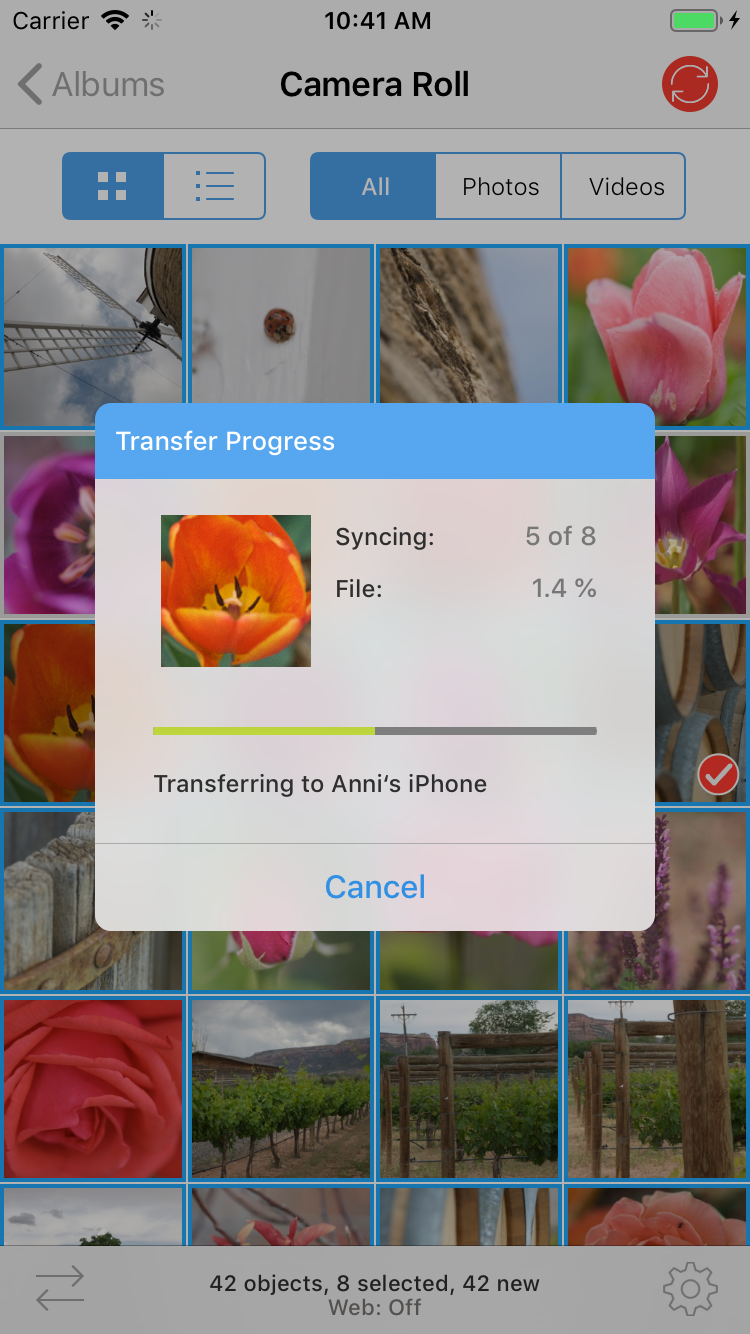 Transfer progress on an iPhone