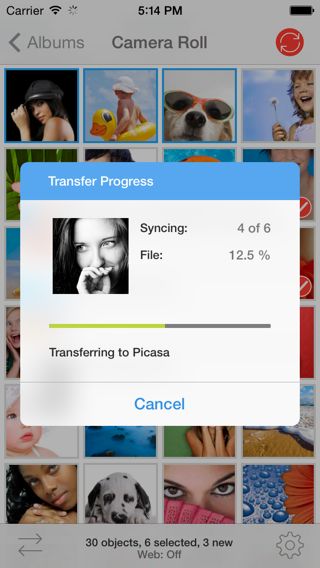 Transfer to Google+/Picasa