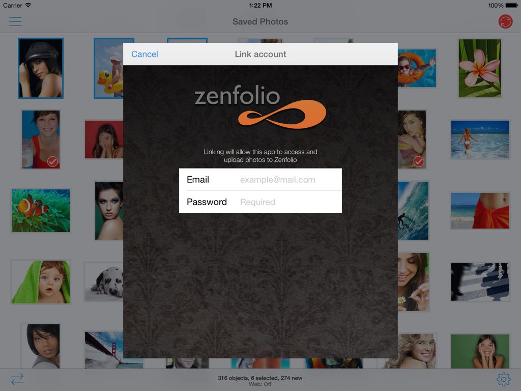Zenfolio authentication - Login